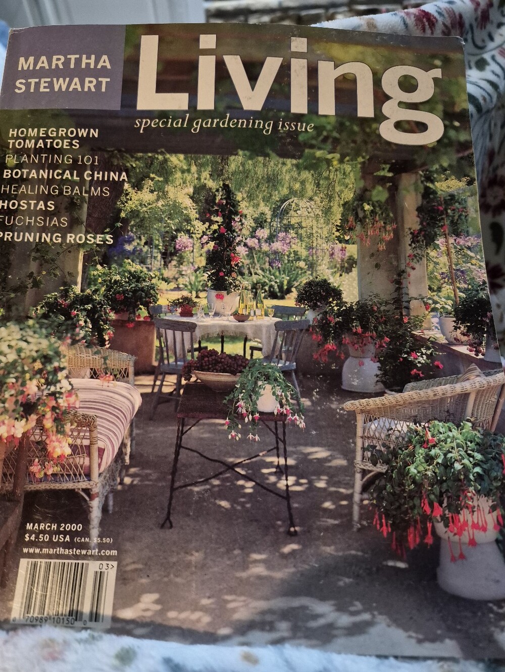 Martha Stewart Living Magazine